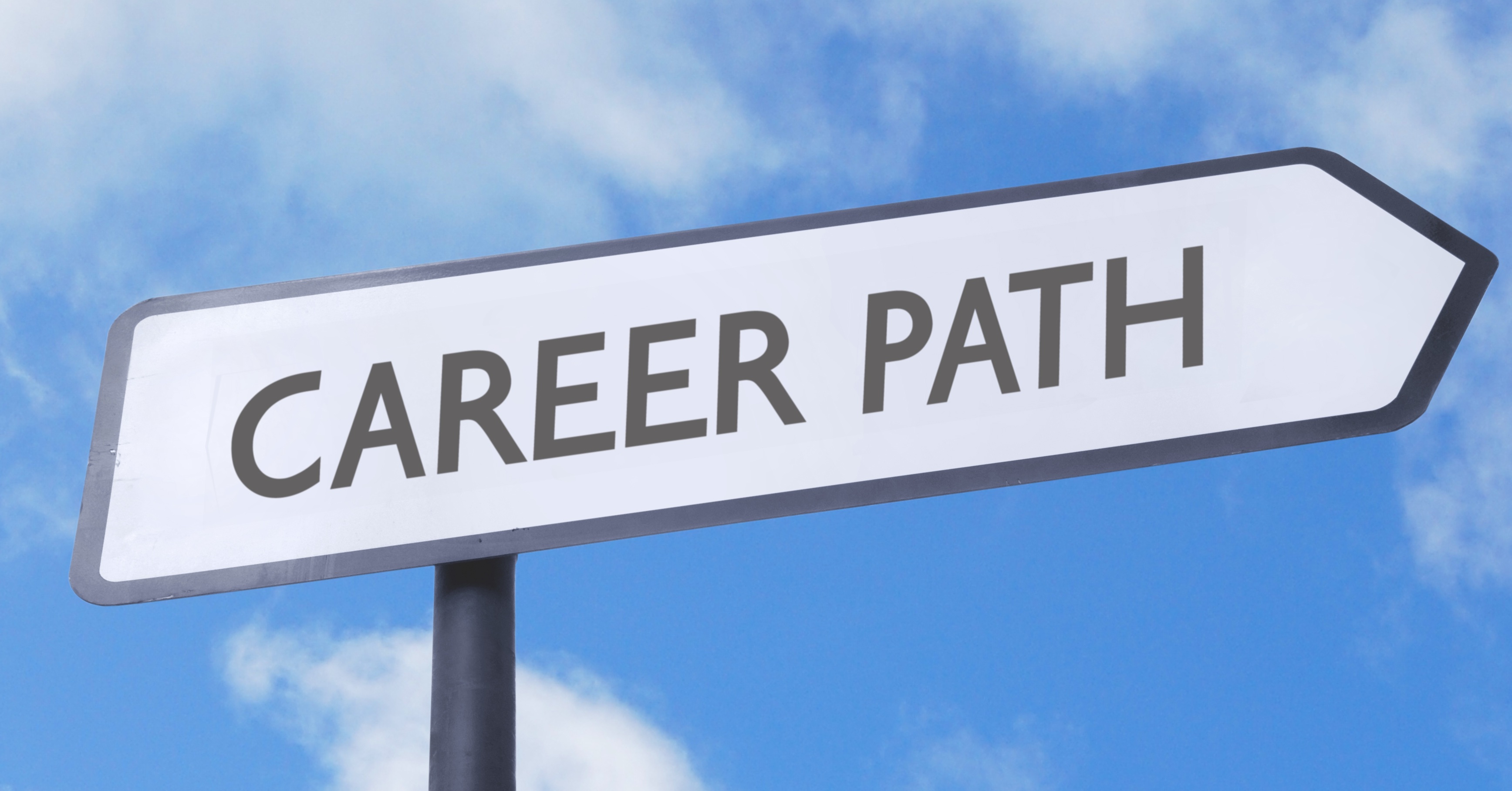 Making a choice of a career path презентация