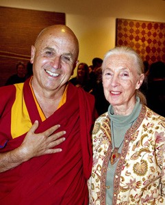 An Enduring Friendship: Matthieu Ricard and Jane Goodall - Thrive Global