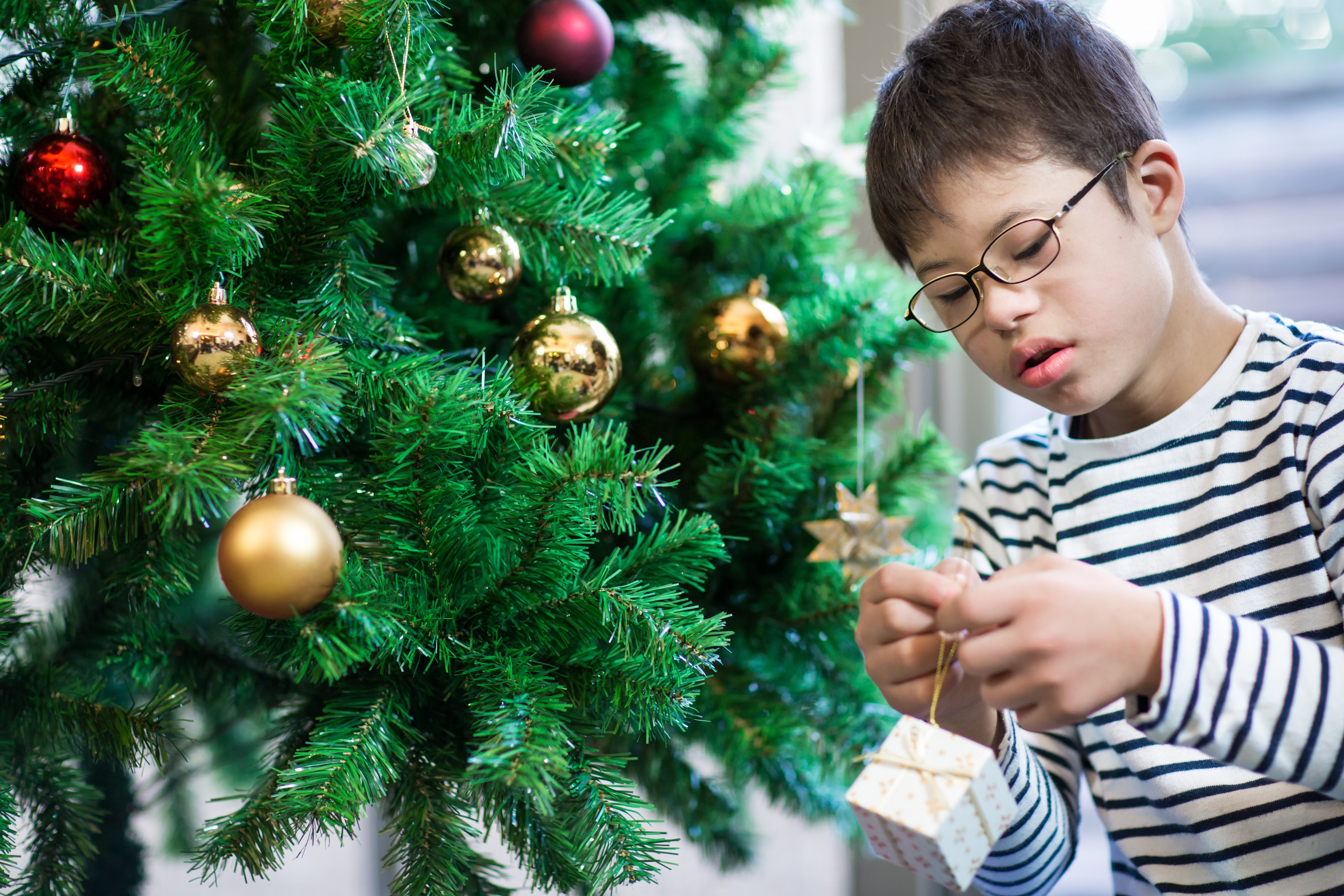 Boy hanging decorations on a Christmas tree