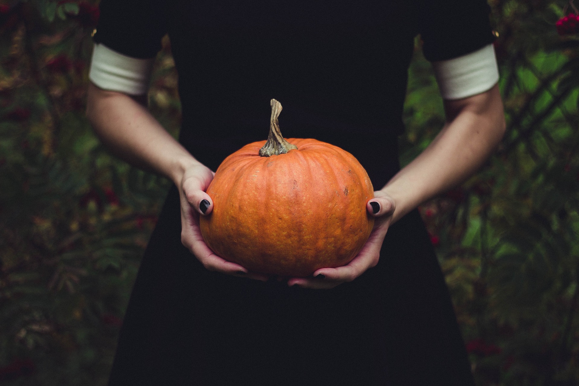 Girl holds pumpkin on Halloween.