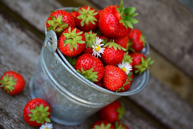 Strawberries in pail. Fruit is healthy for weight loss.