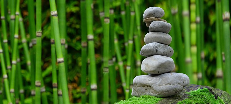 How to Create a Meditation Garden in Your Own Backyard