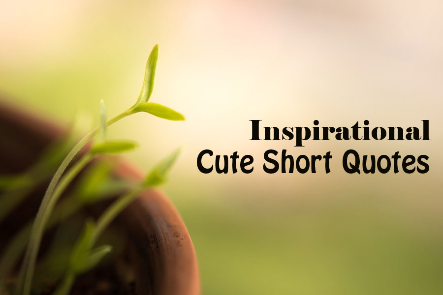 Inspirational Cute Short Quotes