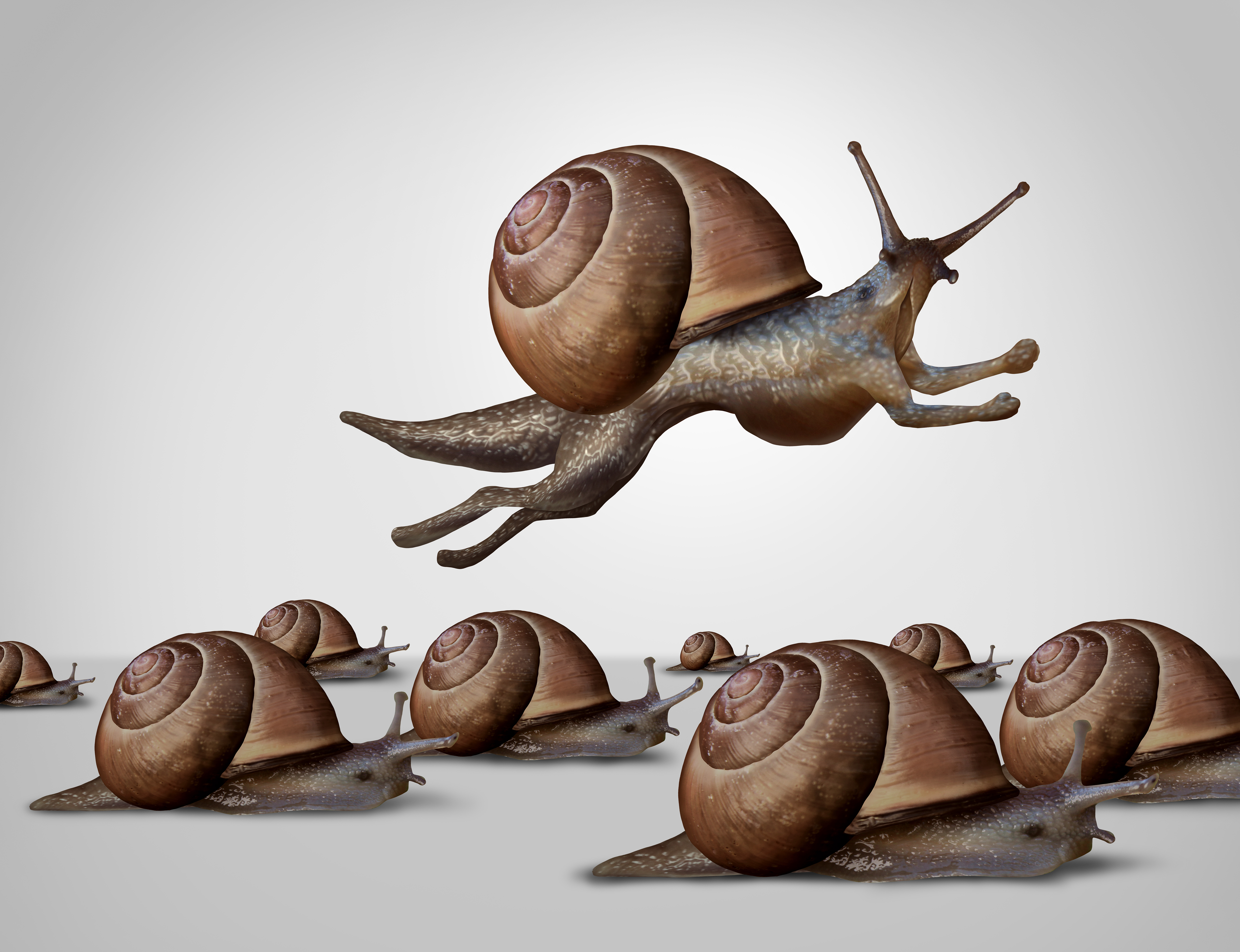 snails jumping mindset to mindshift RG Dynamics Pty Limited Renee Giarrusso