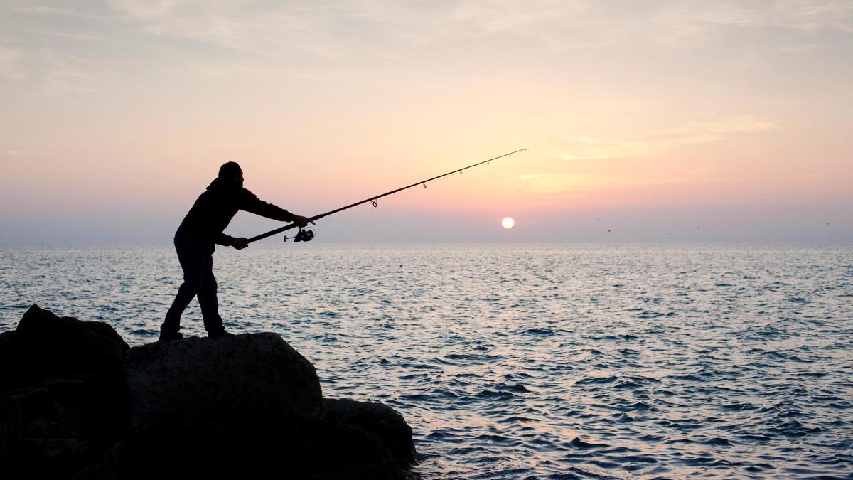 The Practical Guide To Successful Fishing