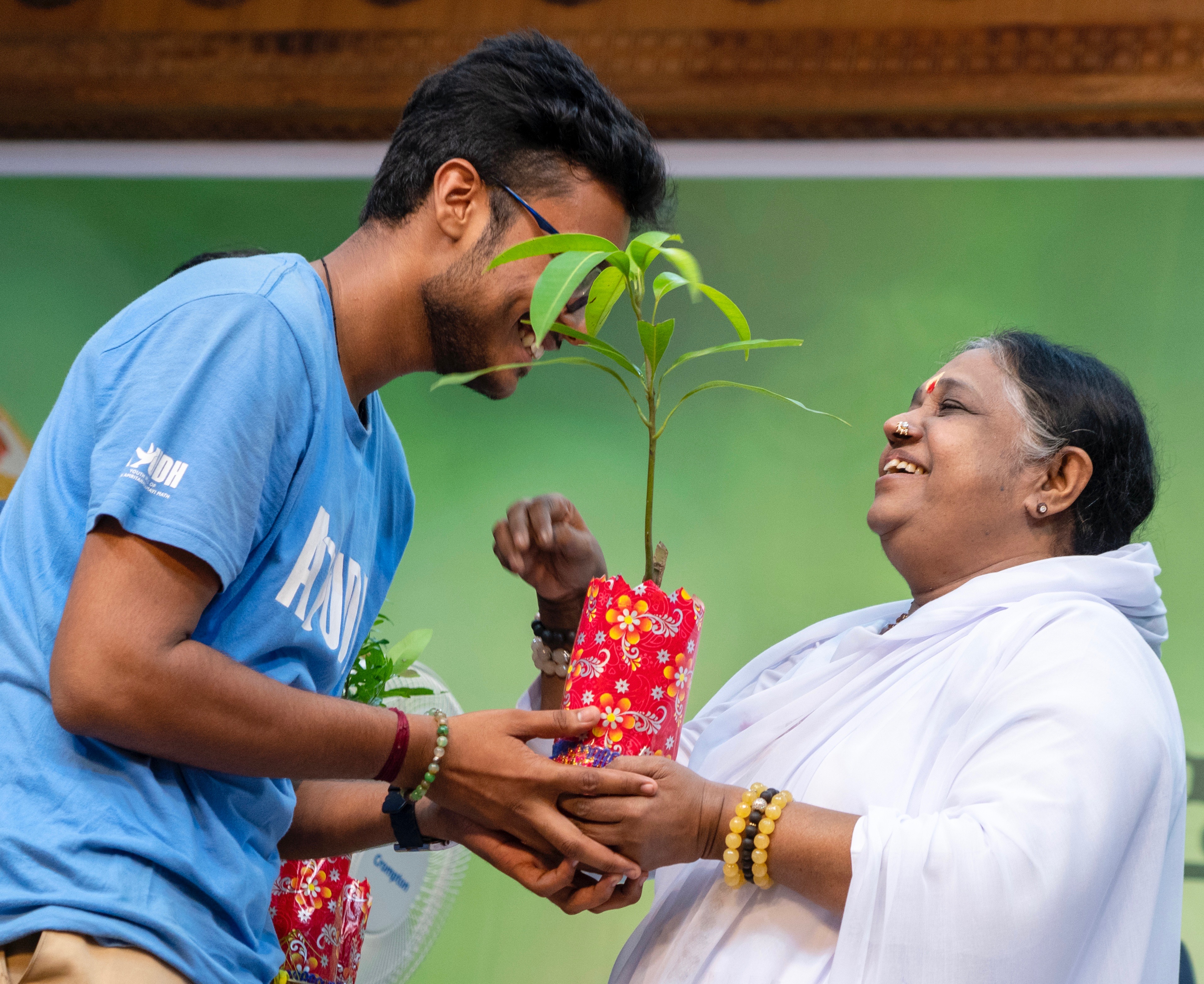 Photo of Amma distributing sapling to youth