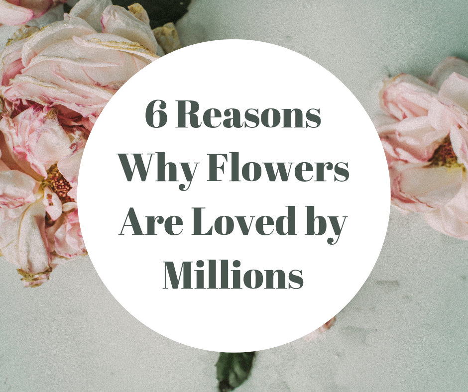 6 Reasons Why Flowers Are Loved by Millions