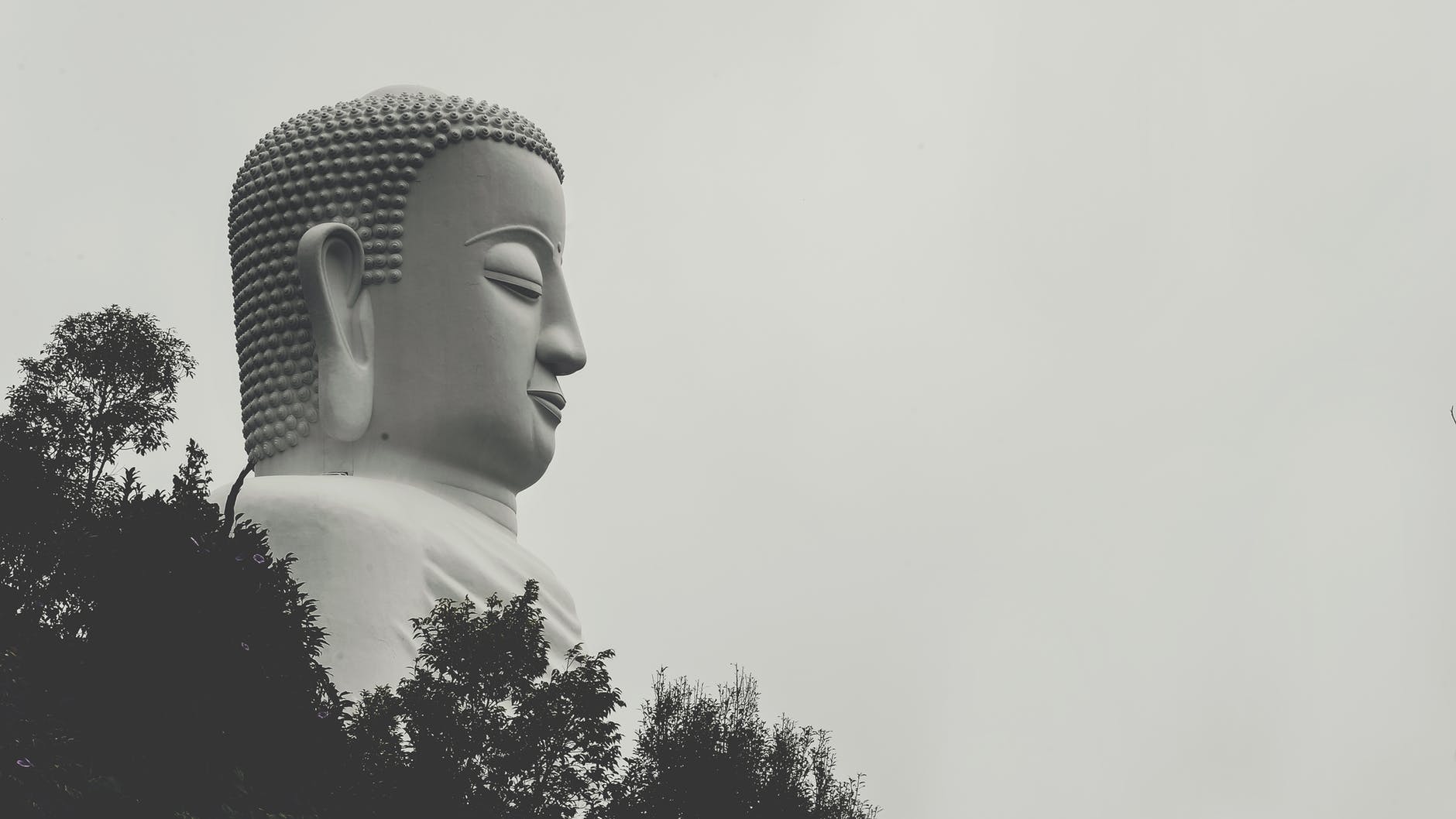 buddha-II-by-mohit-bansal-chandigarh