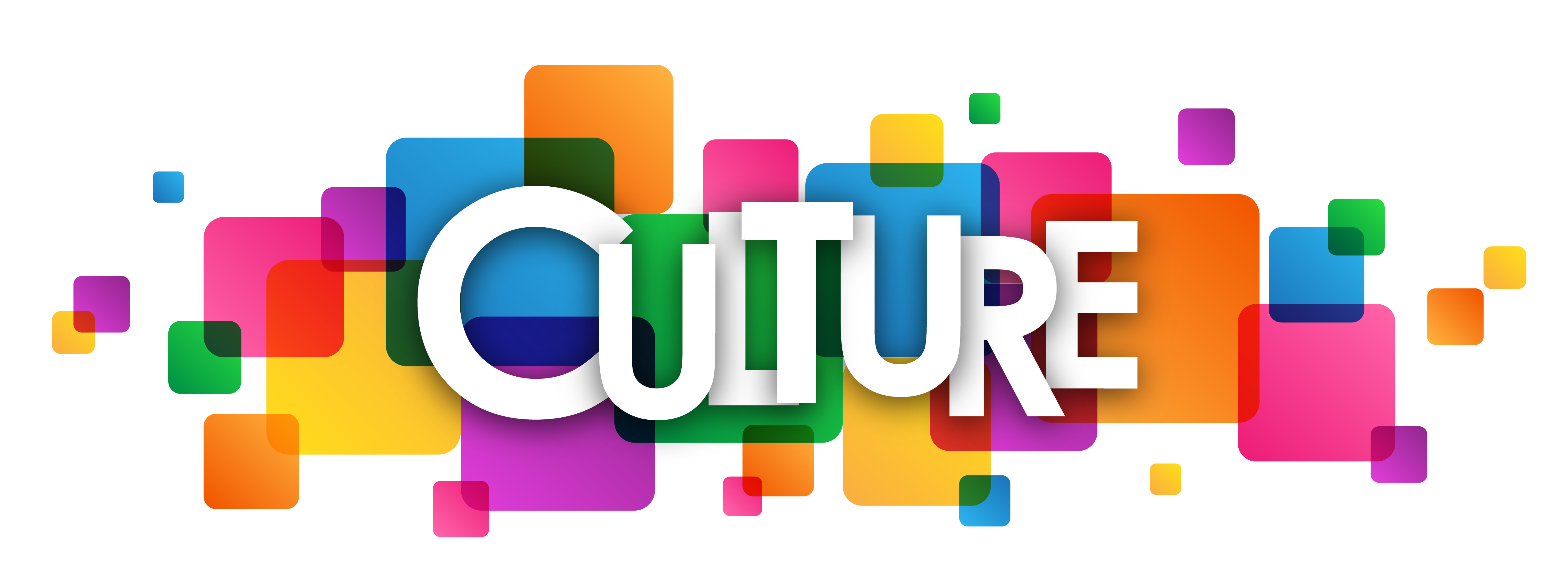 High Authority Culture Domain for Guest Posting