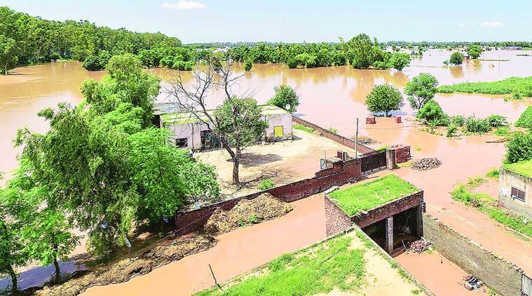 punjab-floods-by-kunal-bansal-chandigarh