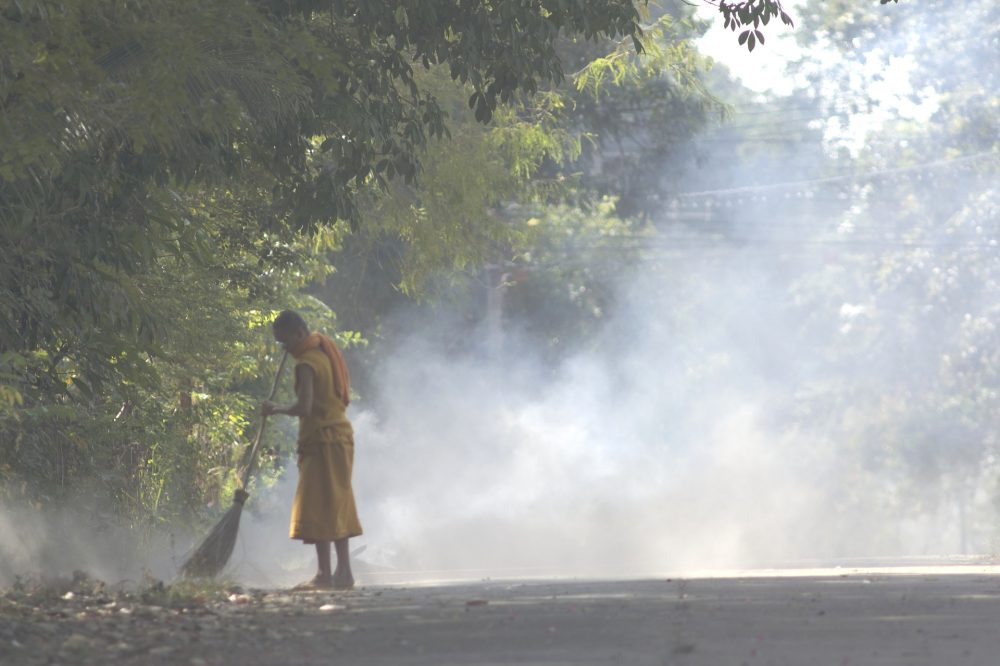 Monk sweeping dry leaves on side of the street