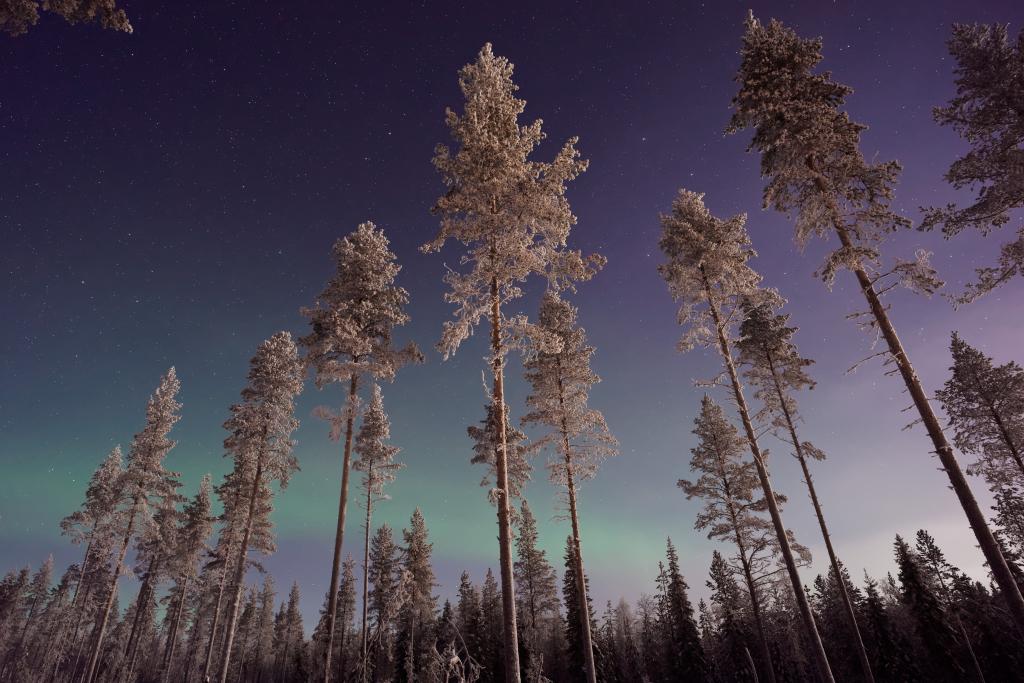 Lapland wilderness