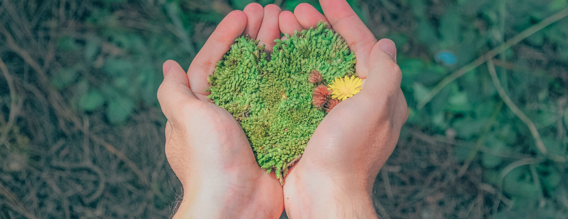 Hands holding green grains in a heart shape