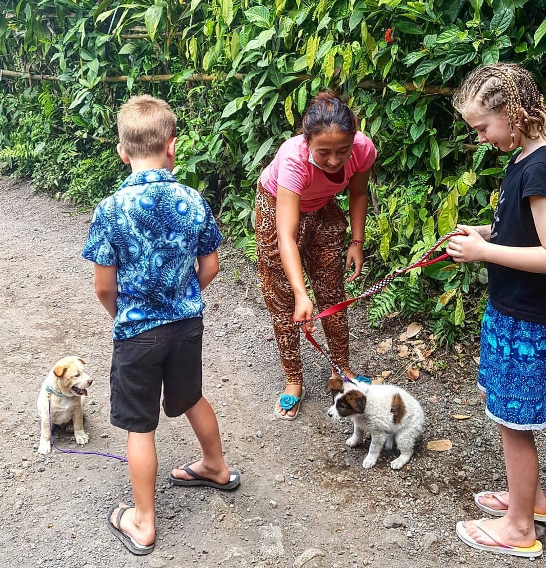 (2017, two of my children volunteering rescuing puppies with BAWA, Bali, Indonesia)