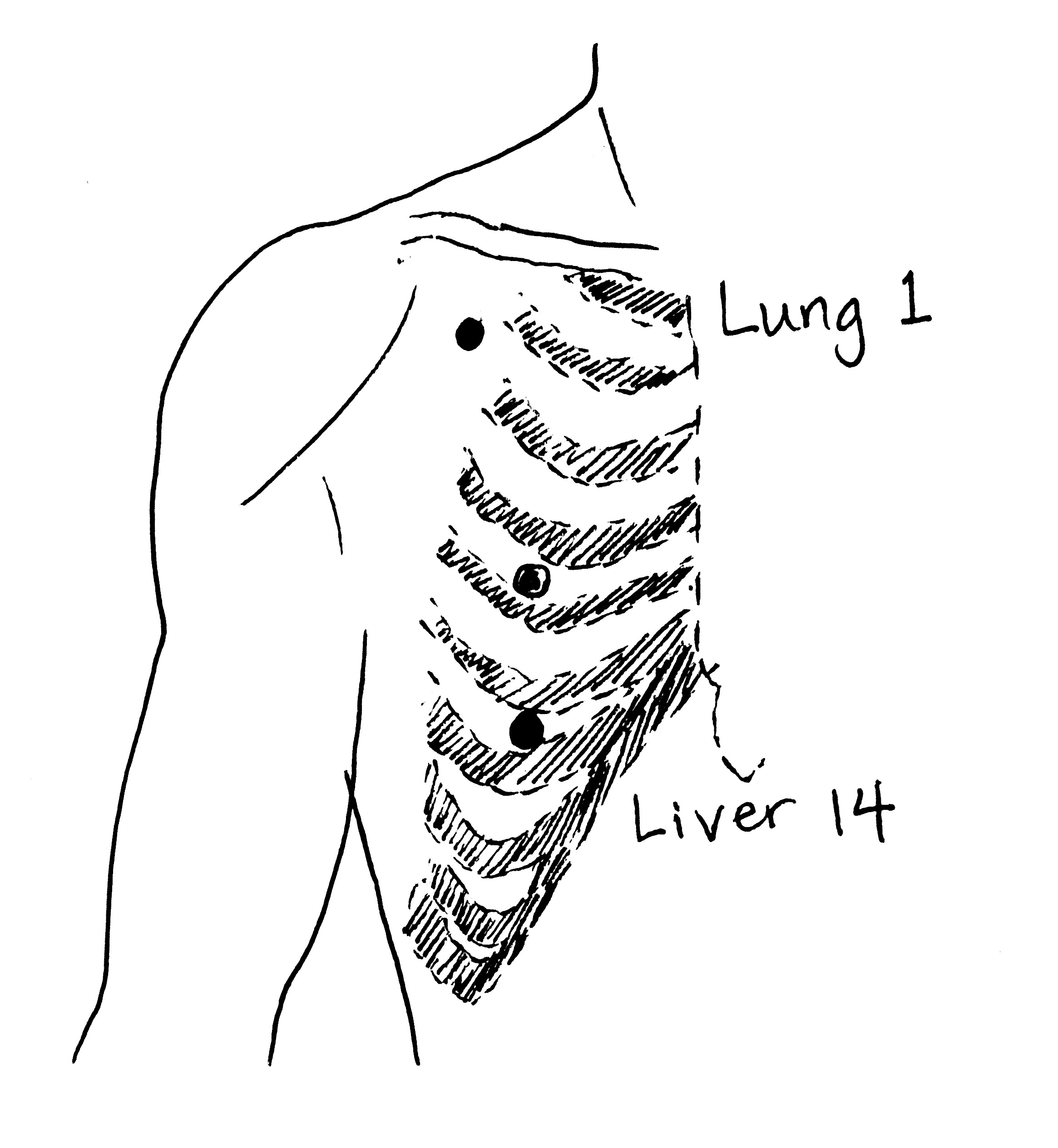 Liver 14 Lung 1 Acupressure for People with Insomnia by Leilani Navar at healgrowthriveflow.com