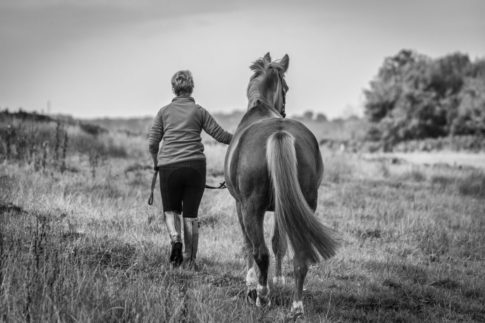 Is equestrianism a perfect environment for burnout?