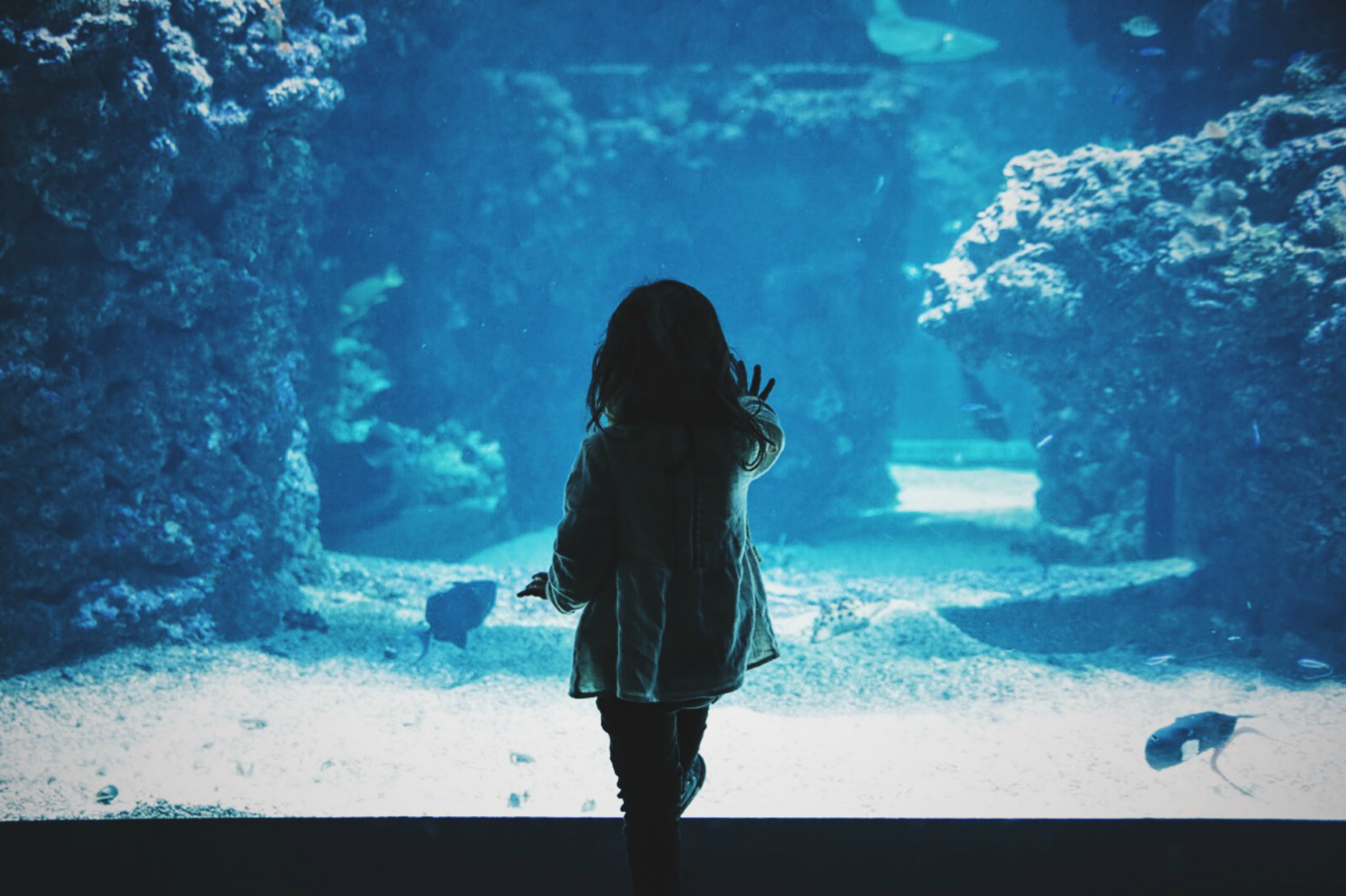 Child at the aquarium.