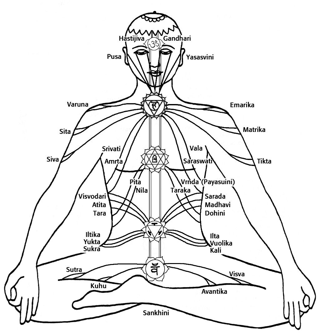 The major Nadis, or energy channels