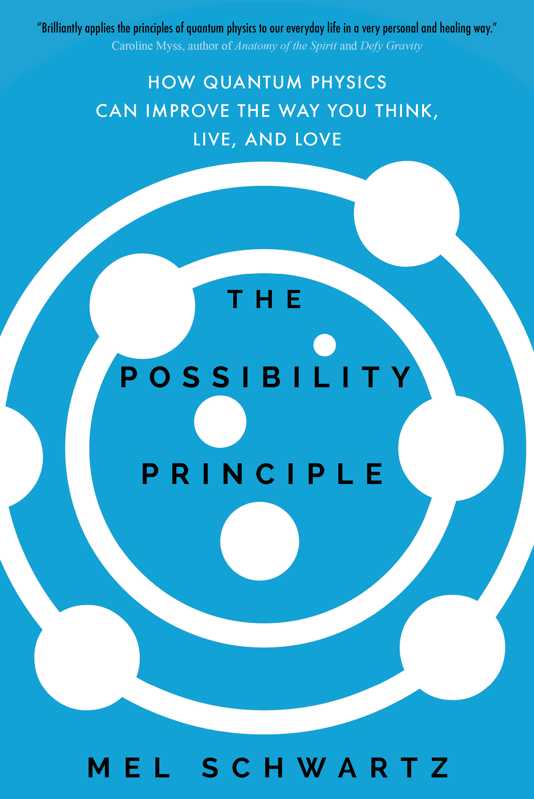 The Possibility Principle - Mel Schwartz