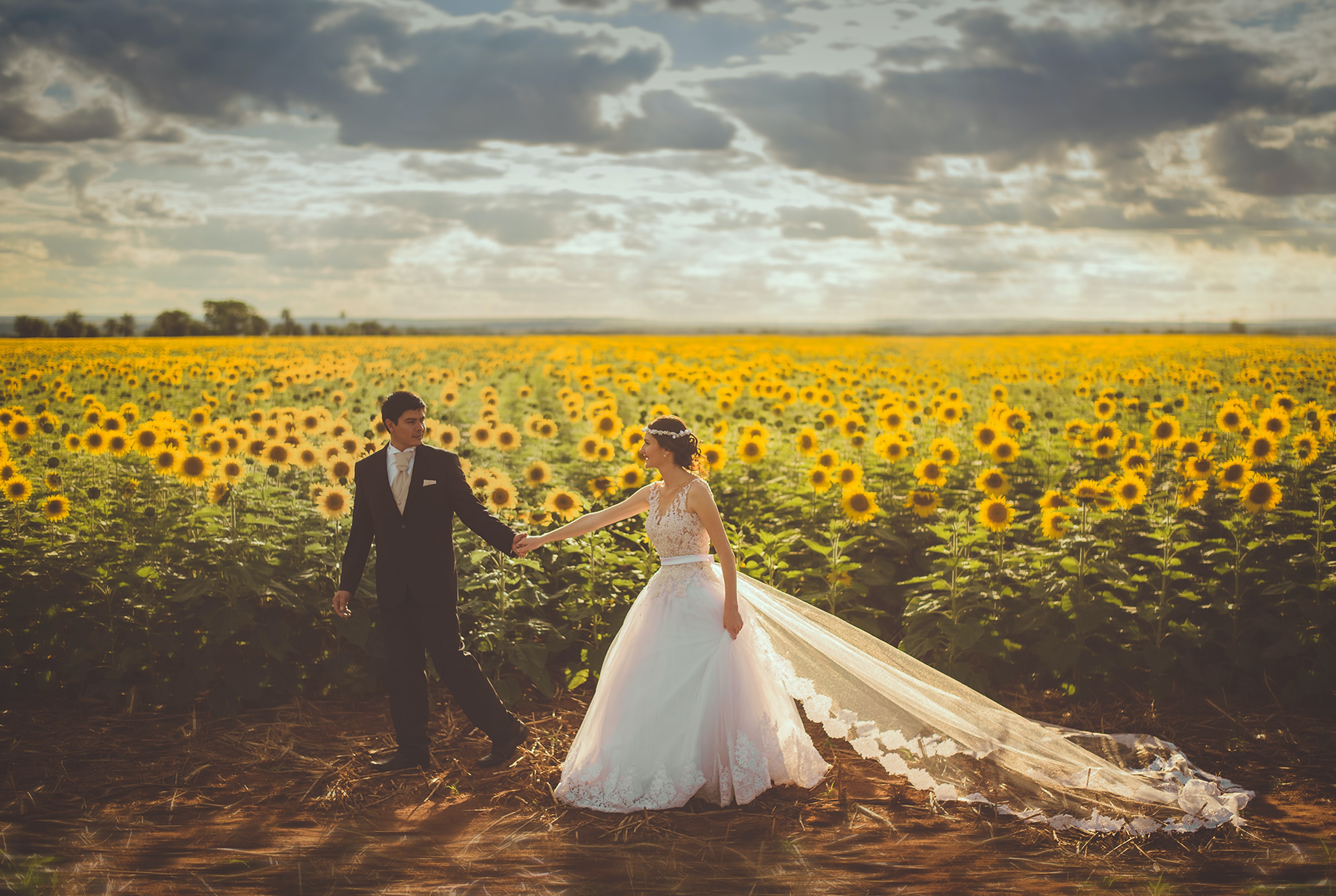 Married couple in front of sunflower field