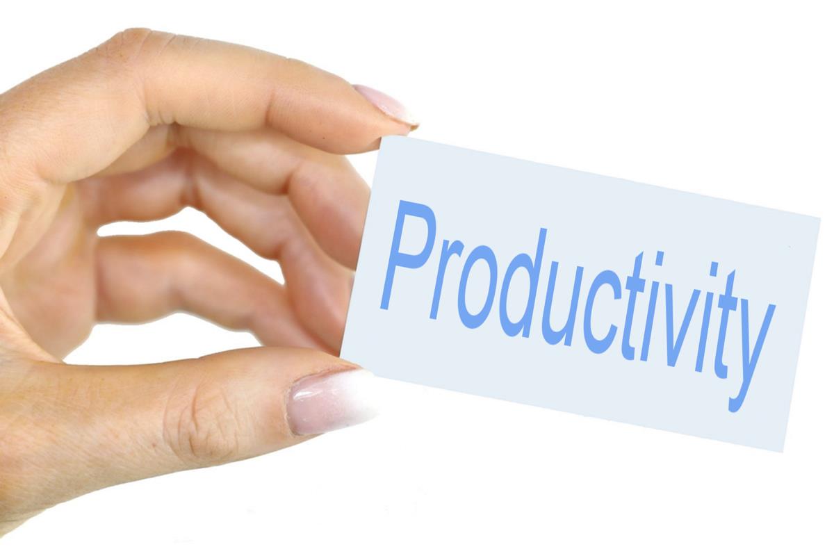 Productivity in the Pandemic