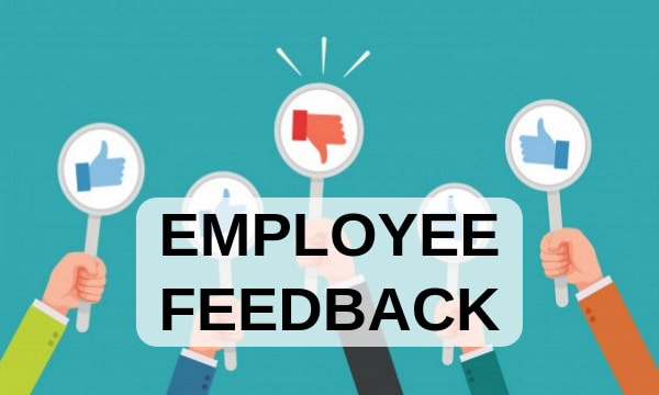 9 Tips for How to Give Effective Employee Feedback 15Five