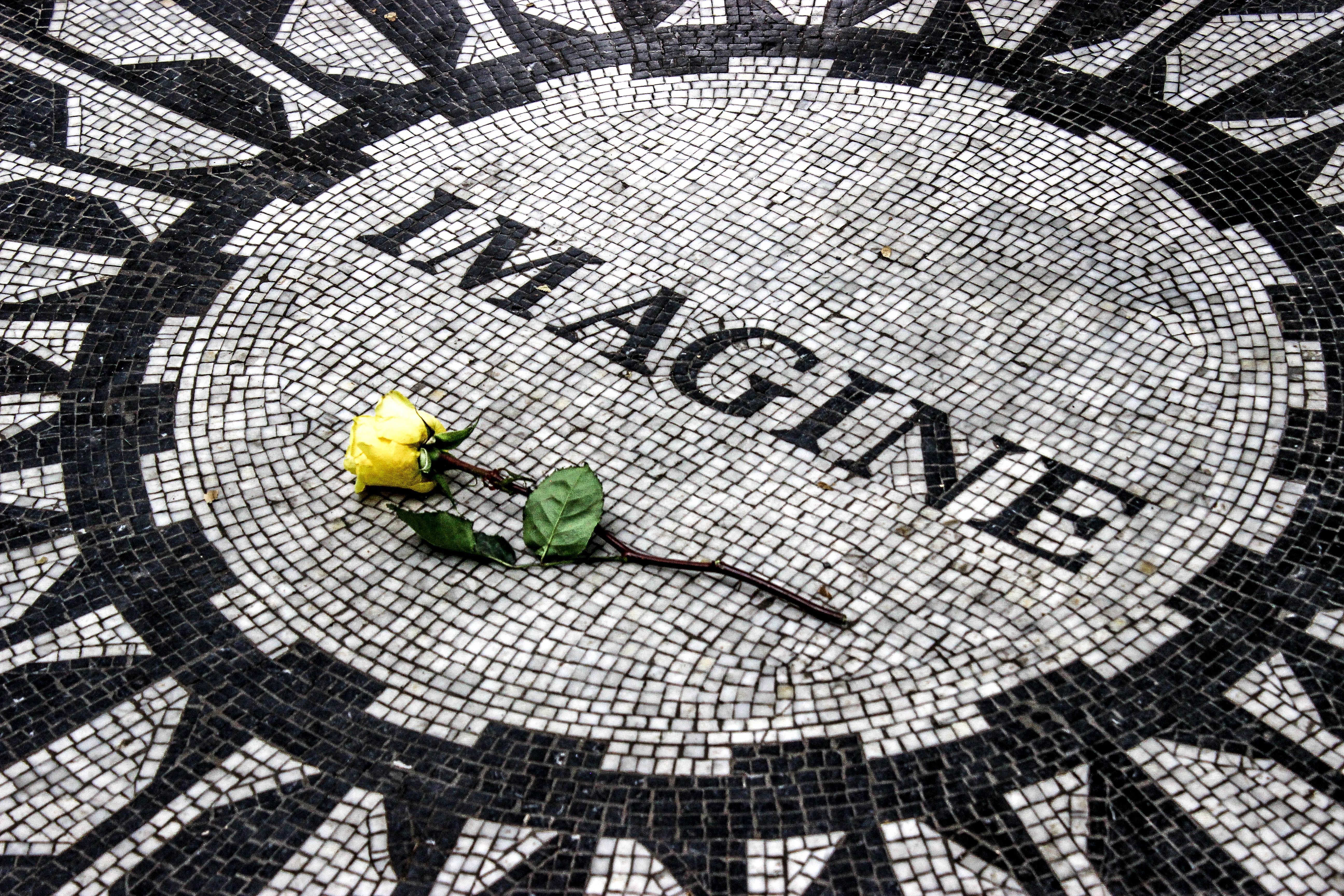 Imagine Mosaic with Yellow Rose