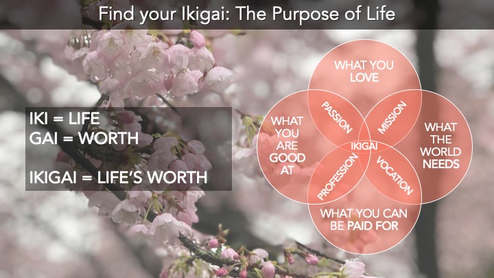 Ikigai - Life's worth