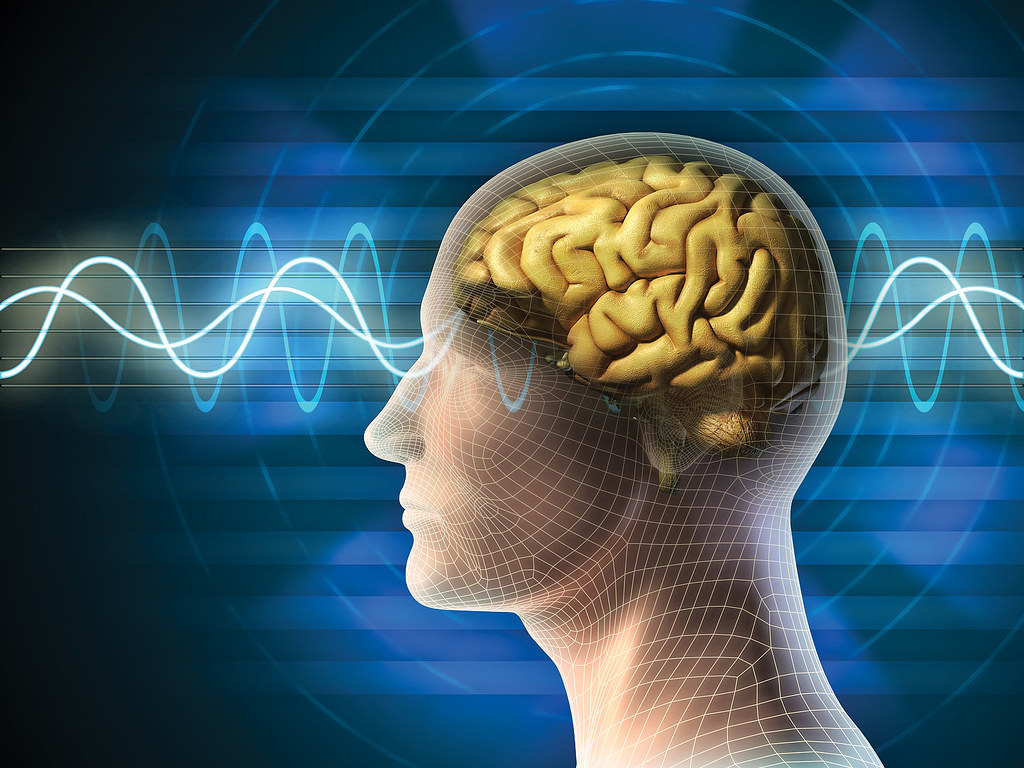 Fisetin Affect Cognitive Function And Brain Health Fisetin Affect Cognitive Function And Brain Health