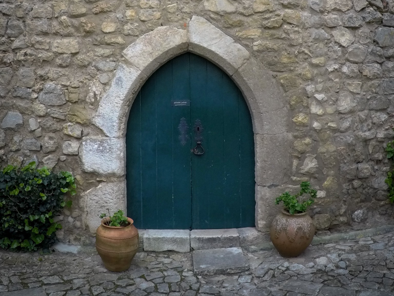 A photo of a closed door to represent someone 'locked out' or 'blocked'