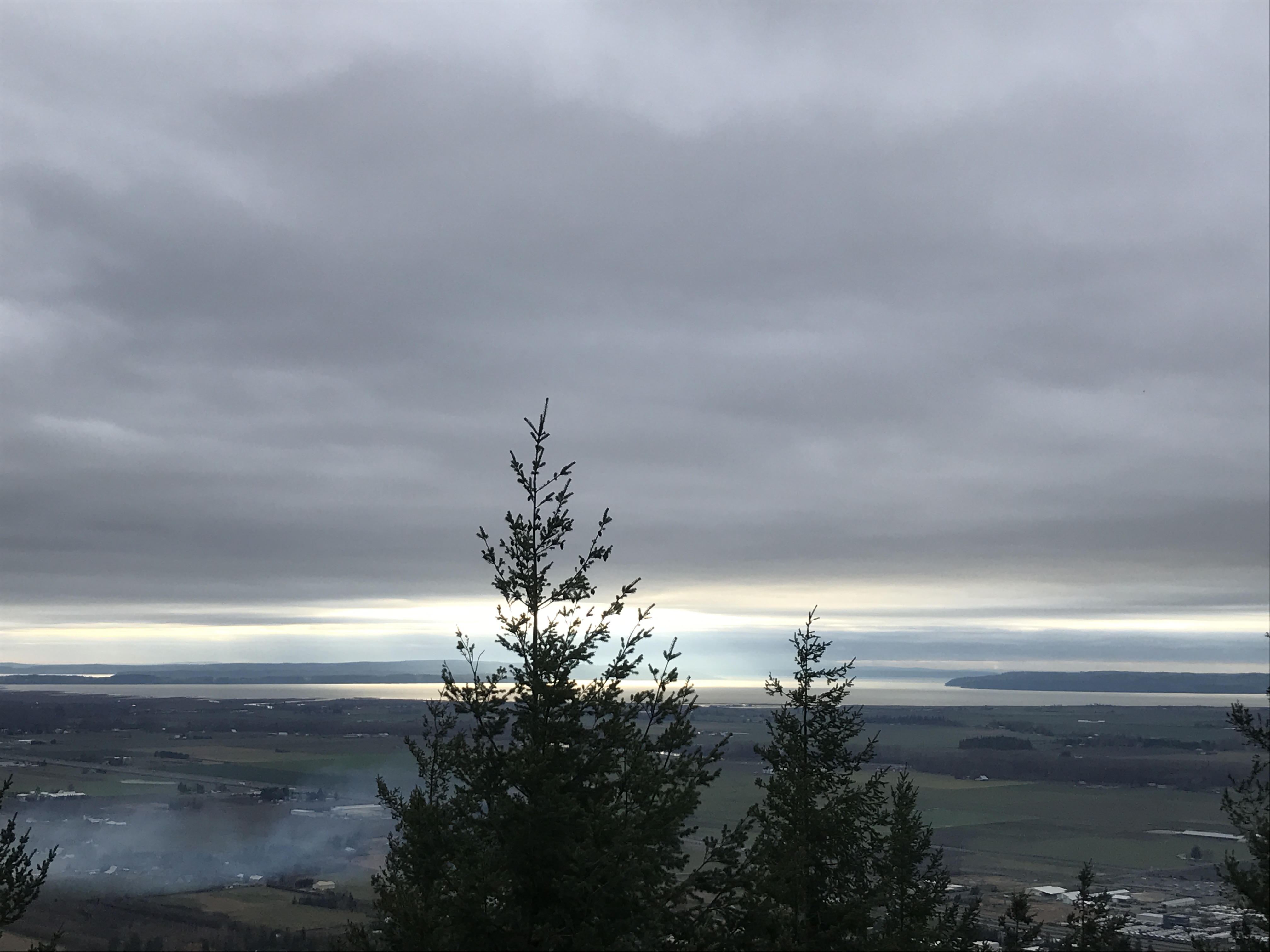 Trees and a view of the Skagit Valley from the top of Little Mountain