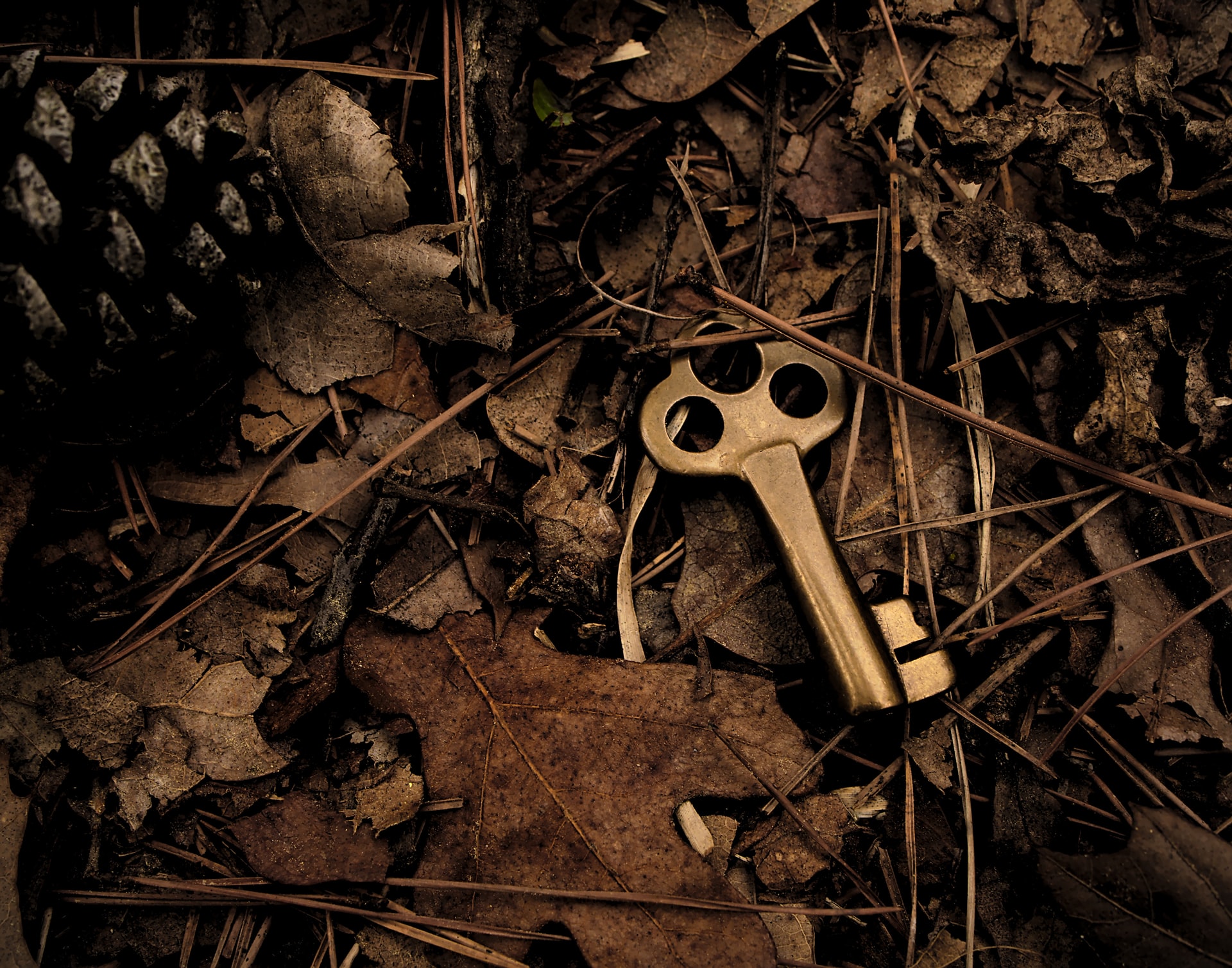 A brass key laying on dried leaves and twigs