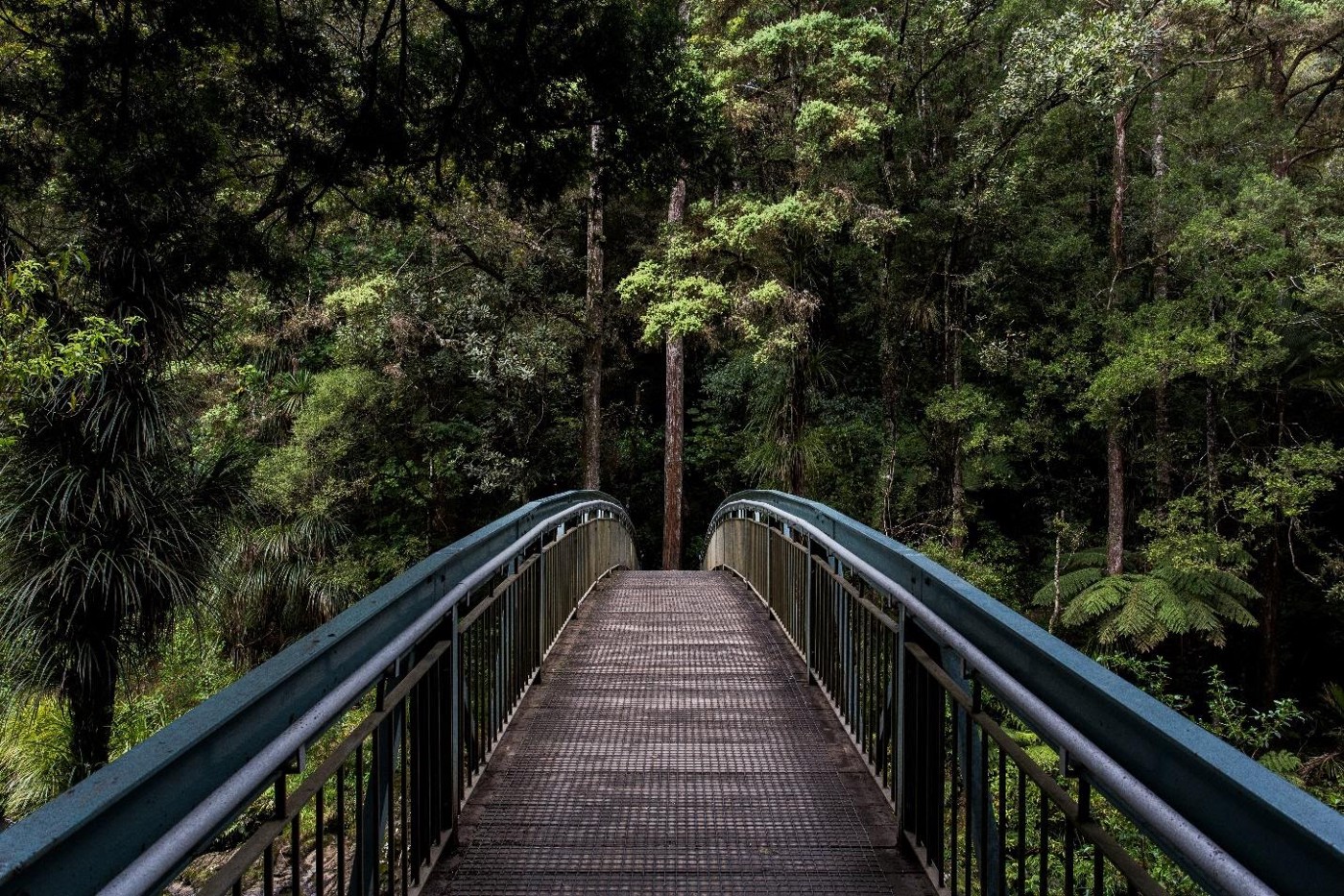 An image of a bridge with trees.