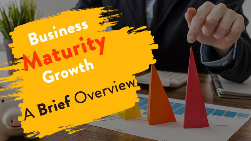 Business Maturity Growth: A Brief Overview