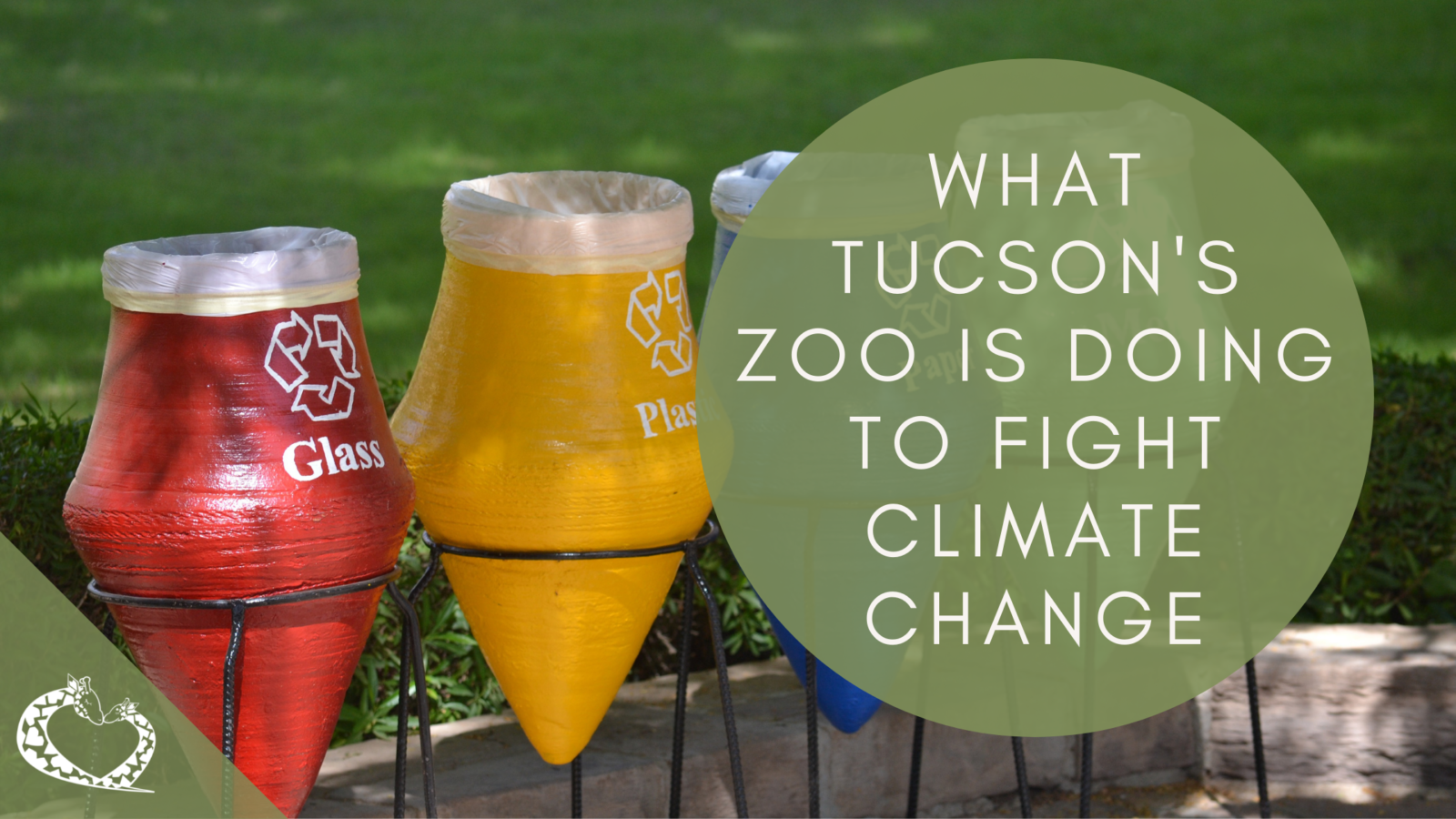 Reid-Park-Zoo-Expansion-Tucson-Arizona-Climate-Change