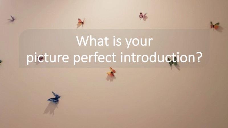 What’s Your Pitch? A Picture-Perfect Introduction
