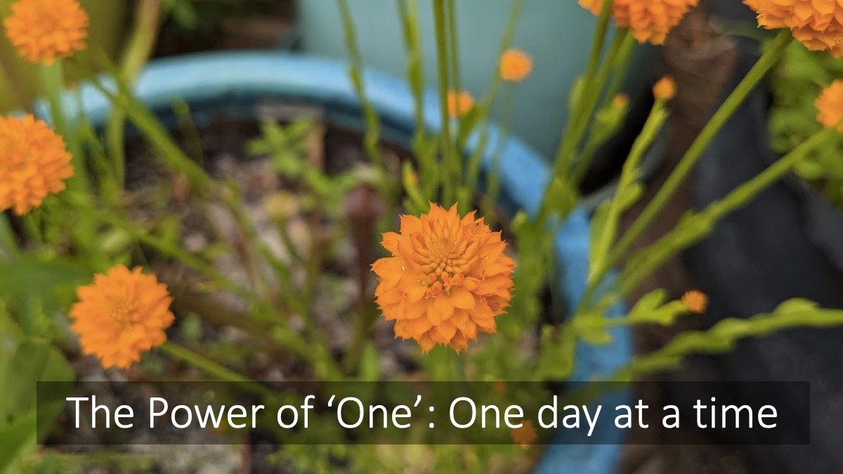 The Power of ‘One’: One day at a time