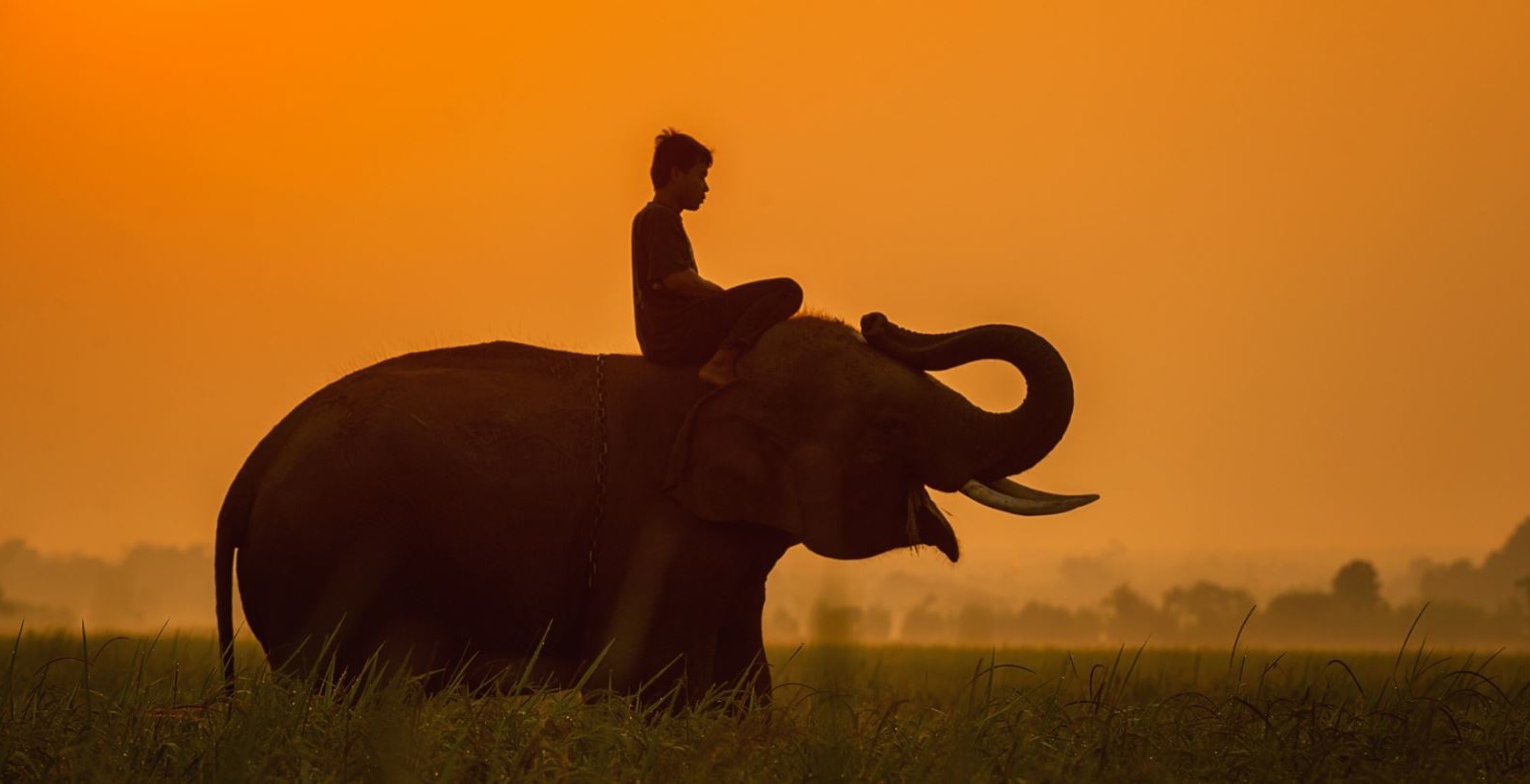 Rider and Elephant in Sunset