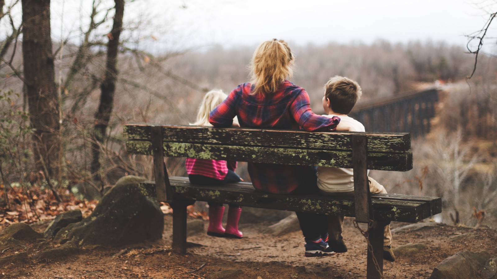 a picture of a mom and her two kids sitting on a bench looking out at a landscape