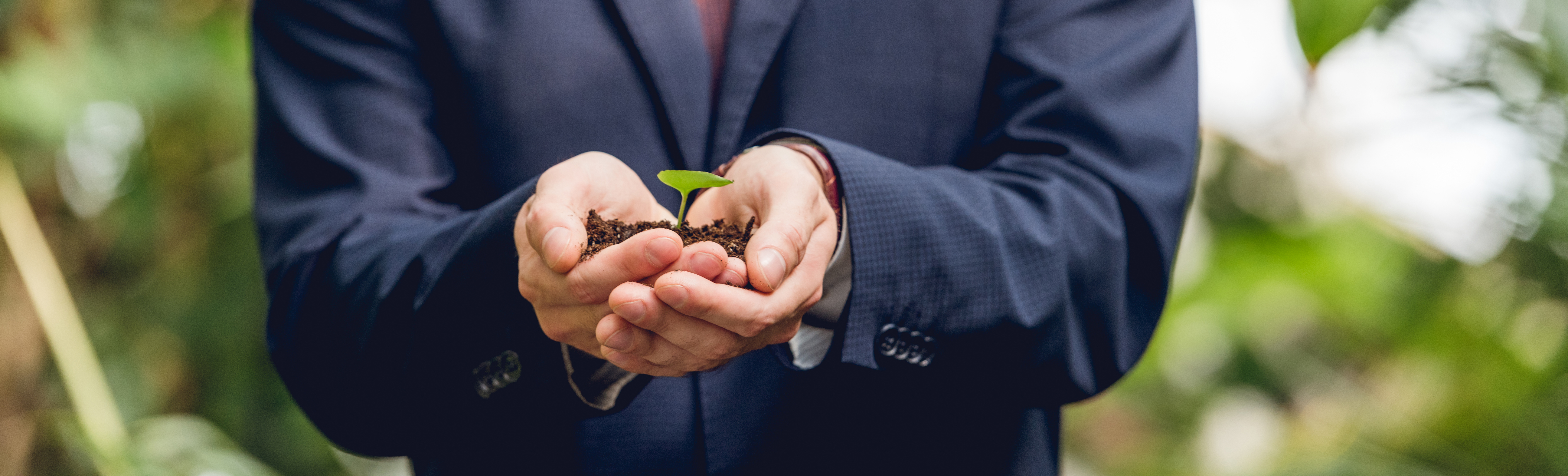 Businessman holding tiny plant in soil in his hands.