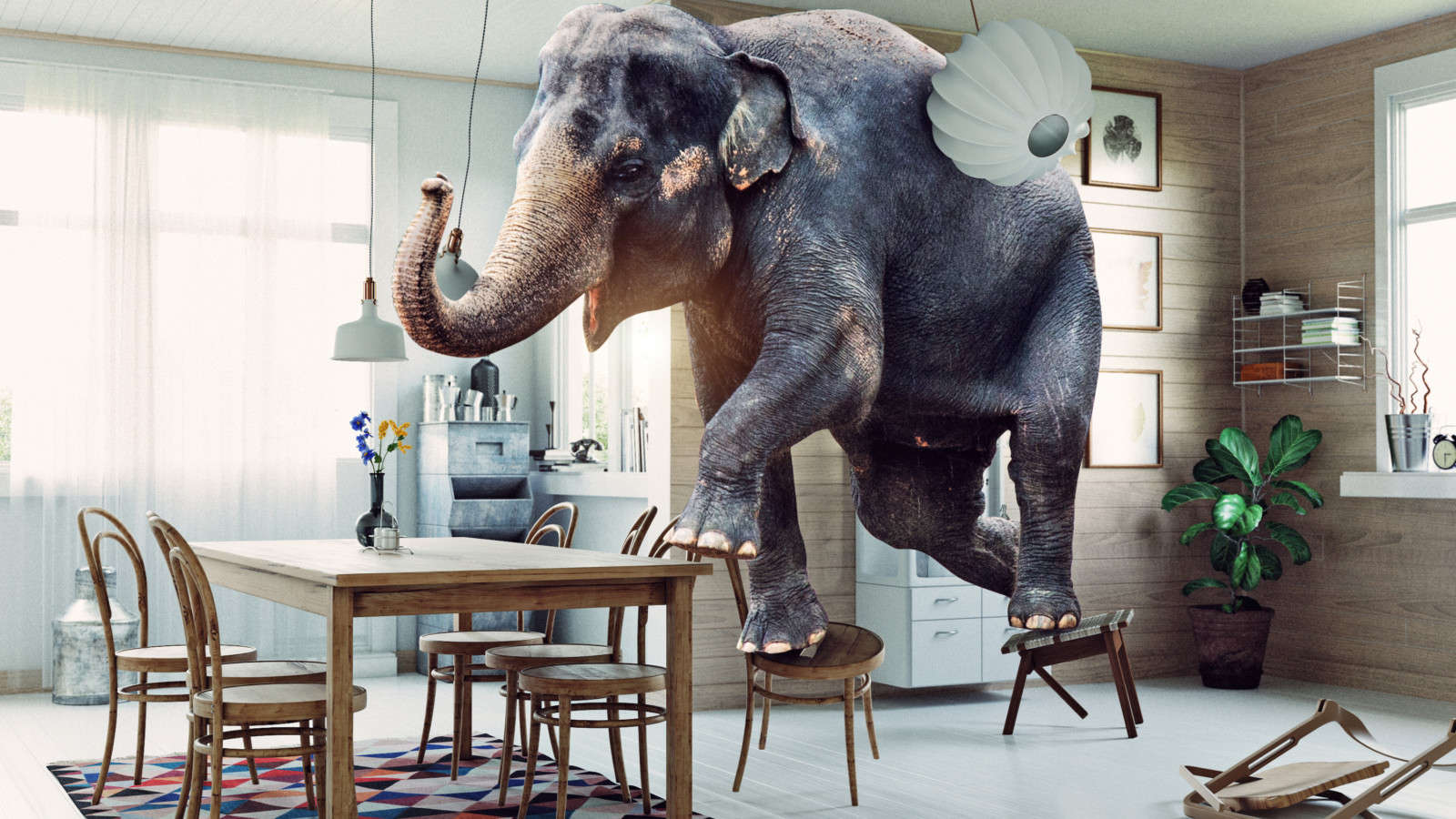 Taming the elephant in the room