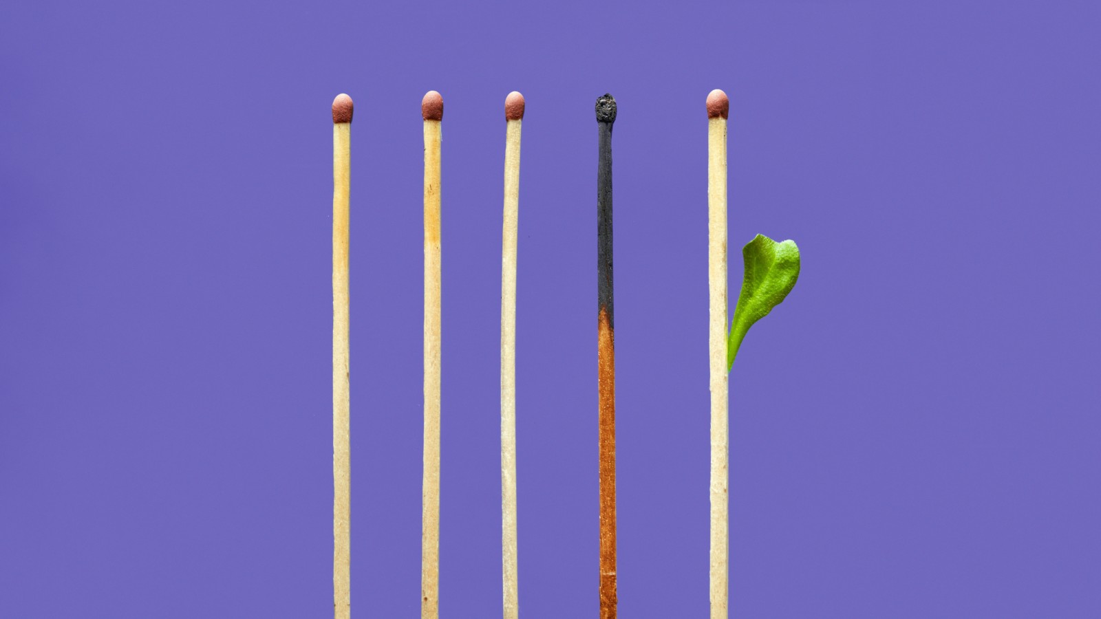 photo of one burnt match surrounded by unused matches, one with a leaf growing out. Posted on Dr. James Goydos 2021 article on burnout.