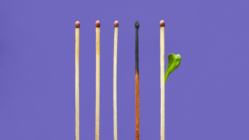 photo of one burnt match surrounded by unused matches, one with a leaf growing out. Posted on Dr. James Goydos 2021 article on burnout.