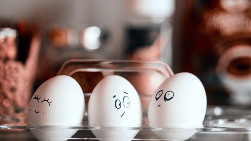 Emotional chicken eggs - cheerful, surprised, devastated and depressed.