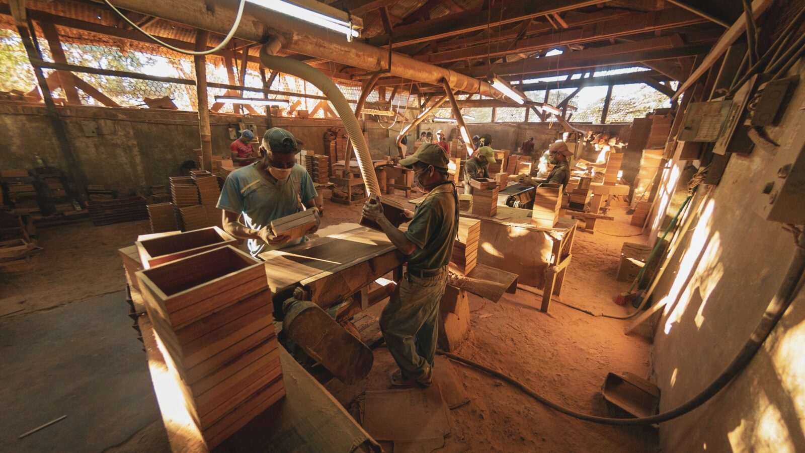 People working in a woodworking factory with moody lighting