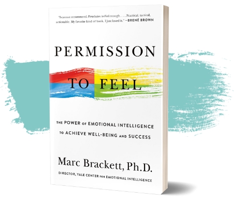 From Theory To Practice Marc Brackett On Dealing With Feelings   Permission To Feel 