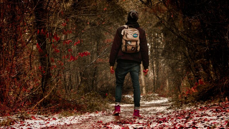 Person Wearing Black Jacket in the Middle of Forest